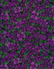C6503 violet Fleur
