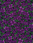C6503 violet Fleur